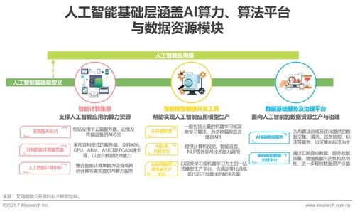 2021年中國人工智能基礎(chǔ)層行業(yè)研究報(bào)告——人工智能基礎(chǔ)軟件開發(fā)篇